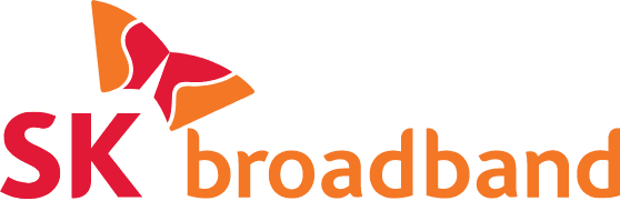 SK브로드밴드 비즈(PC접속 무제한)